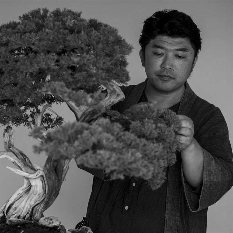 盆栽作家　徳永功
